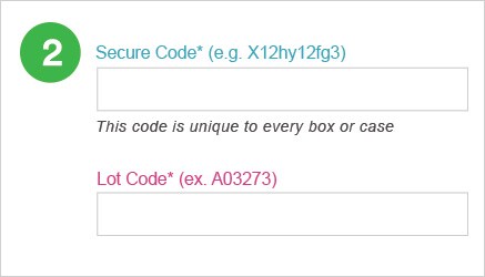Screenshot of the two fields where the secure code and lot code are entered within the 3M Safe Guard authentication process.
