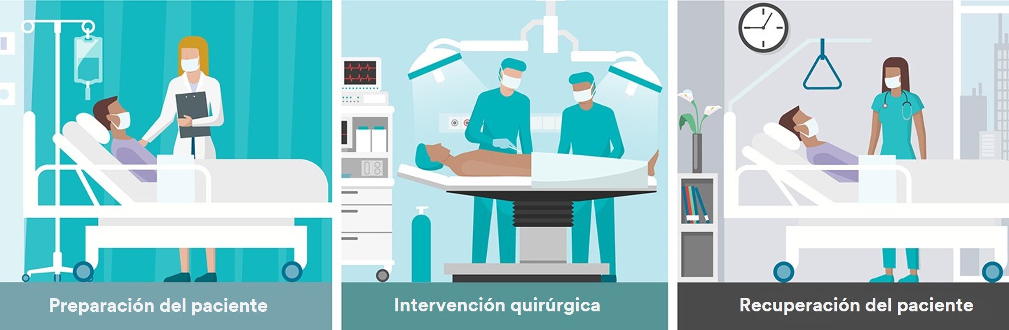 Patient Preparation - Surgical Intervention - Patient Recovery
