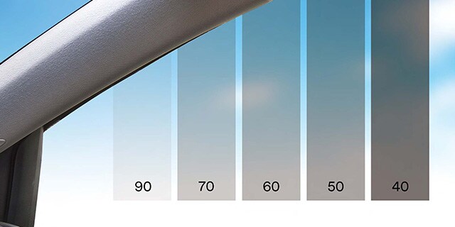 Ventana de coche con películas para ventanas superpuestas.